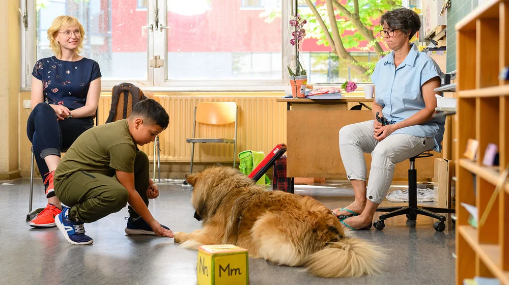 Aktionsbeispiele Aktionsbeispiele