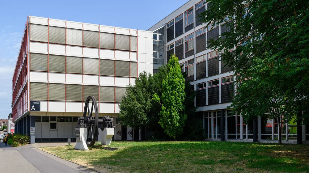 Organisation & Partner Organisation & Partner