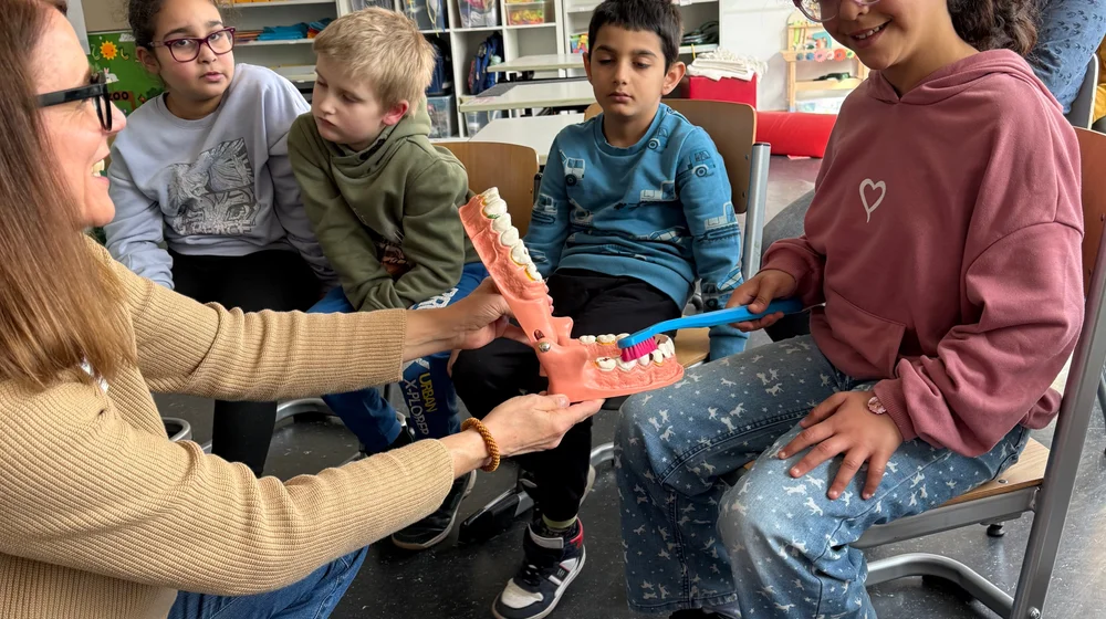 Faultiere und Delfine on tour!