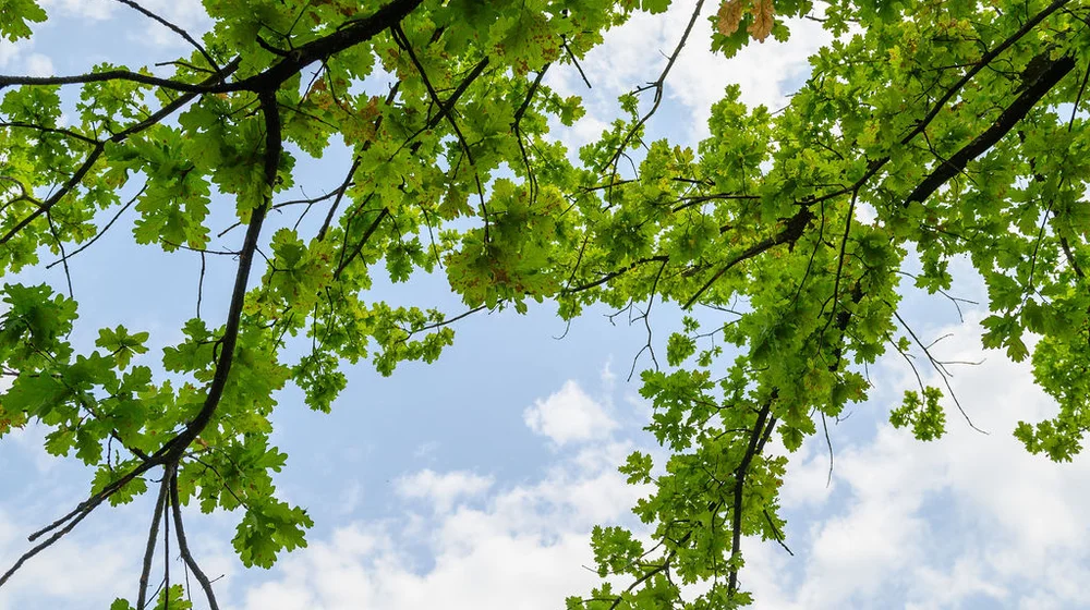 Ferienfreizeiten Ferienfreizeiten